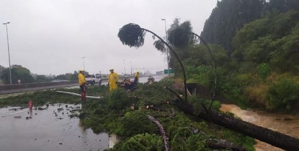 Ciclone bomba: Bolsonaro anuncia que visitará Santa Catarina no sábado