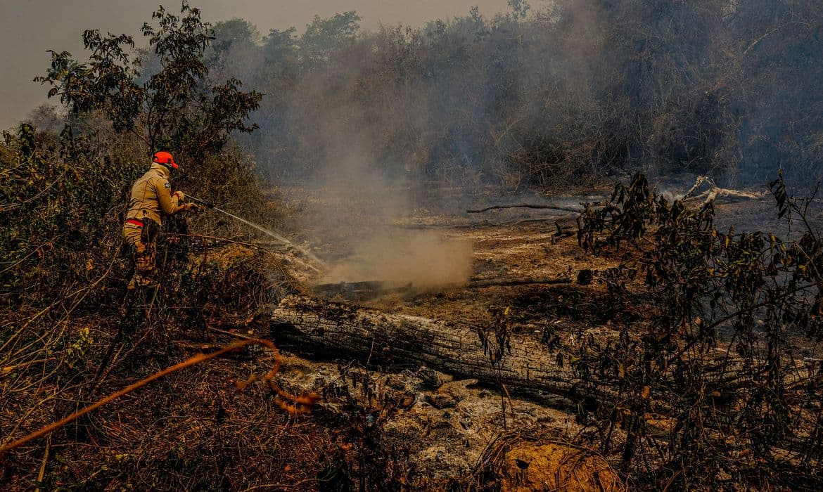 PF e órgãos estaduais apuram causas de incêndios no Pantanal; peritos encontram indícios de queima intencional
