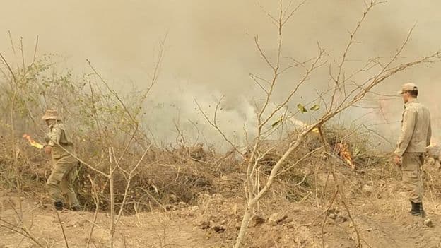 STF fará audiência pública sobre situação ambiental na segunda-feira