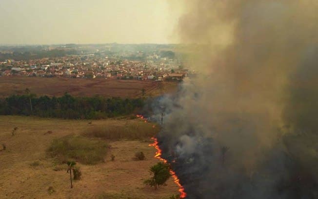 Perfis falsos fingem ajuda ao Pantanal para lucrar nas redes sociais