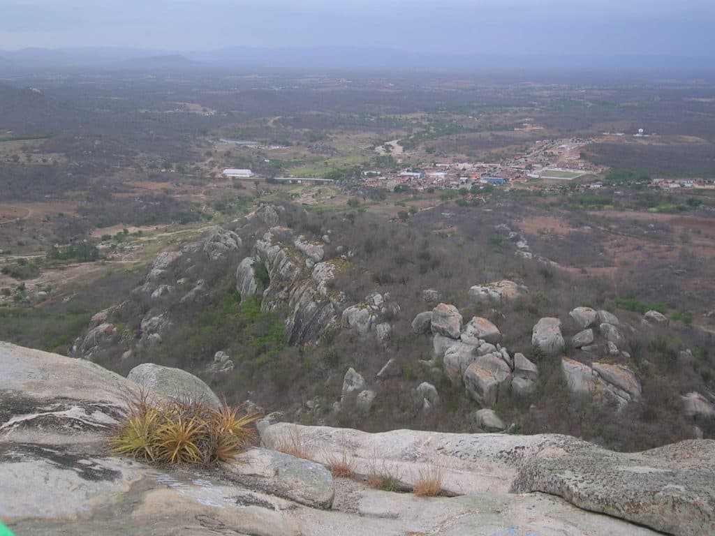 Nova pesquisa da UFRN reforça eficiência da caatinga na absorção do gás carbônico; entenda a evapotranspiração