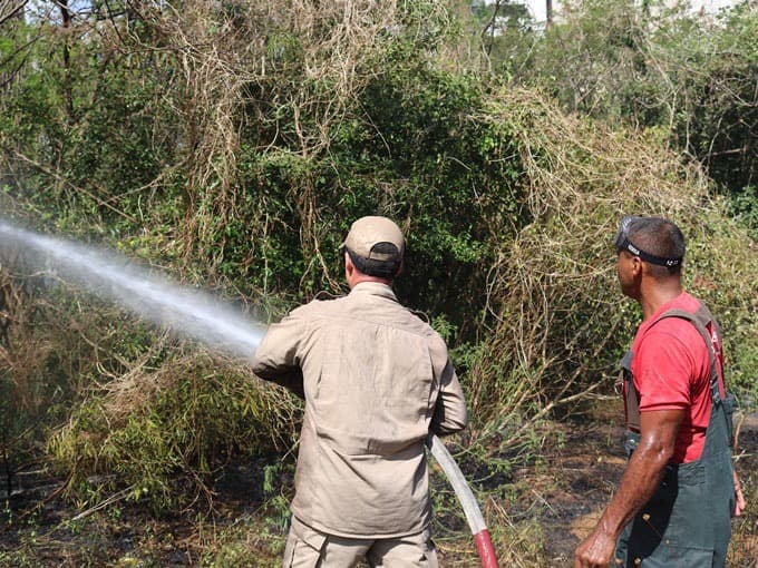 Em setembro, Corpo de Bombeiros no RN atendeu 245 ocorrências de incêndios florestais, mais que o dobro do mesmo período ano passado