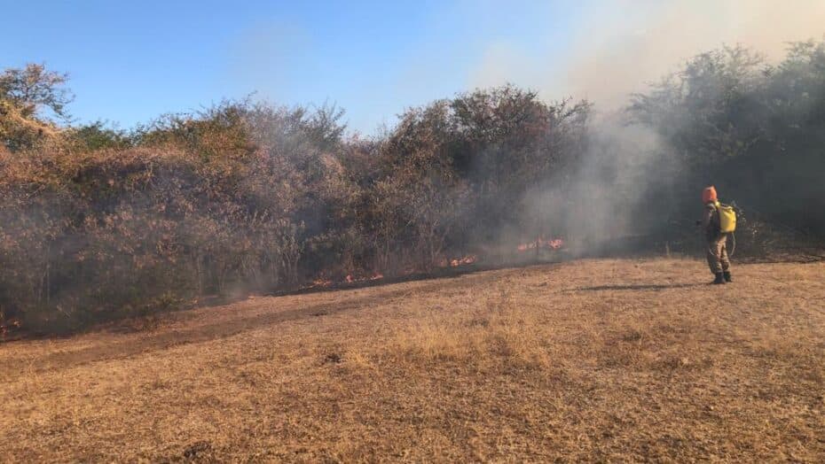 Governo Federal reconhece situação de emergência em município do RN atingido por incêndios florestais