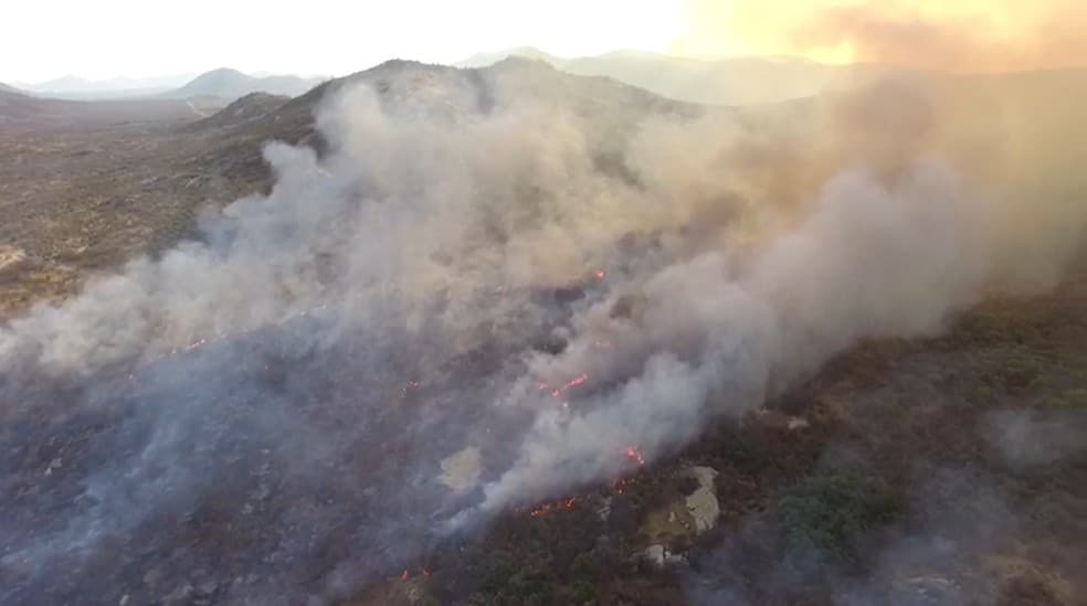 Corpo de Bombeiros registra aumento de 56% de incêndios florestais no RN, em 2020