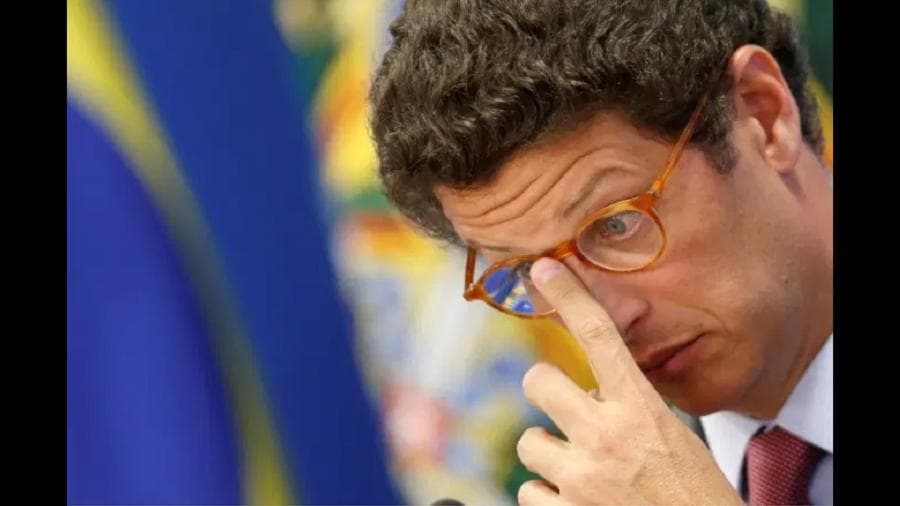 Decisão do Conama que tirou proteção de manguezais e restingas volta a valer após desembargador derrubar liminar