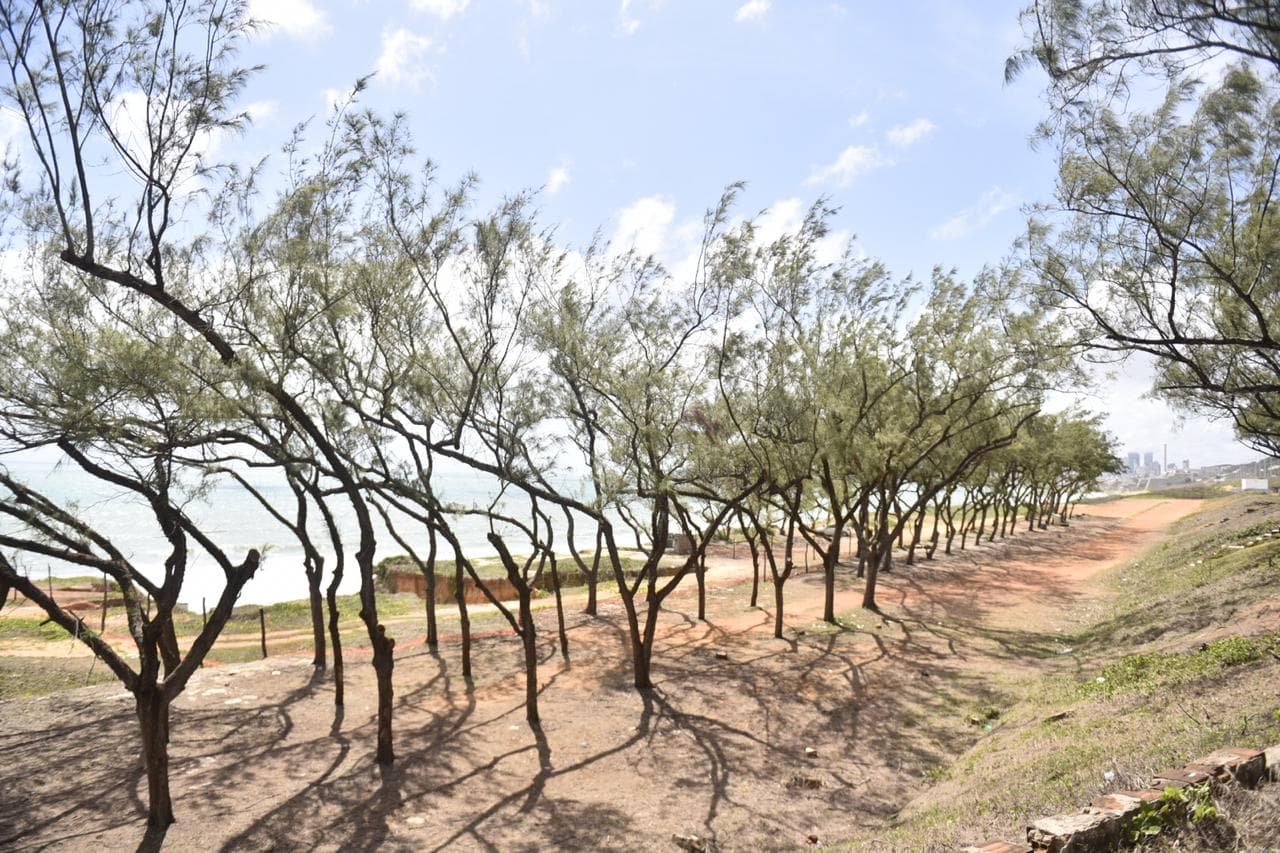 FOTOS: Governo retomará obra de parque na Via Costeira em área que já abrigou o antigo clube Vale das Cascatas