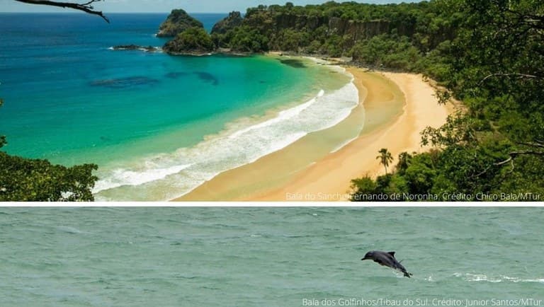 Brasil tem Baía dos Golfinhos, em Pipa, e Fernando de Noronha (PE), entre as melhores praias do mundo, segundo TripAdvisor