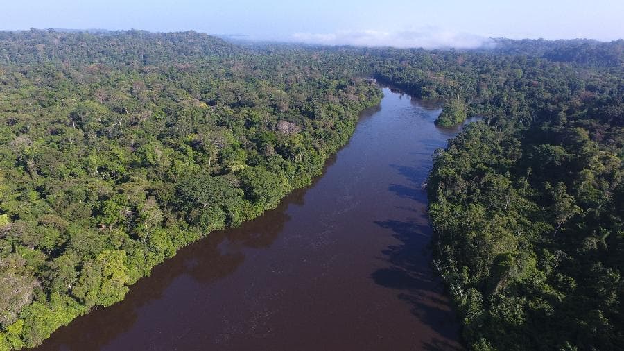 Governo Biden ‘enfatiza' questão climática e quer ser “bom parceiro” do Brasil, diz embaixador americano