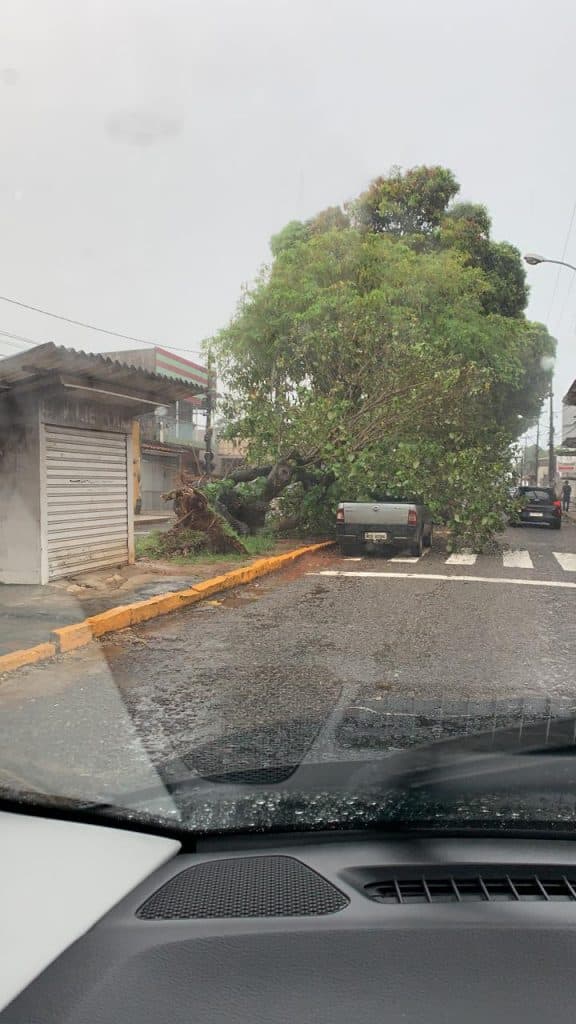 FOTO: Árvore cai em cima de carro no Alecrim