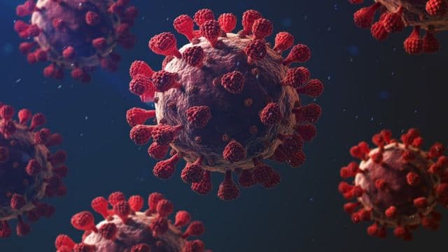 Mundo registra mais de 3 milhões de mortes provocadas pela Covid-19