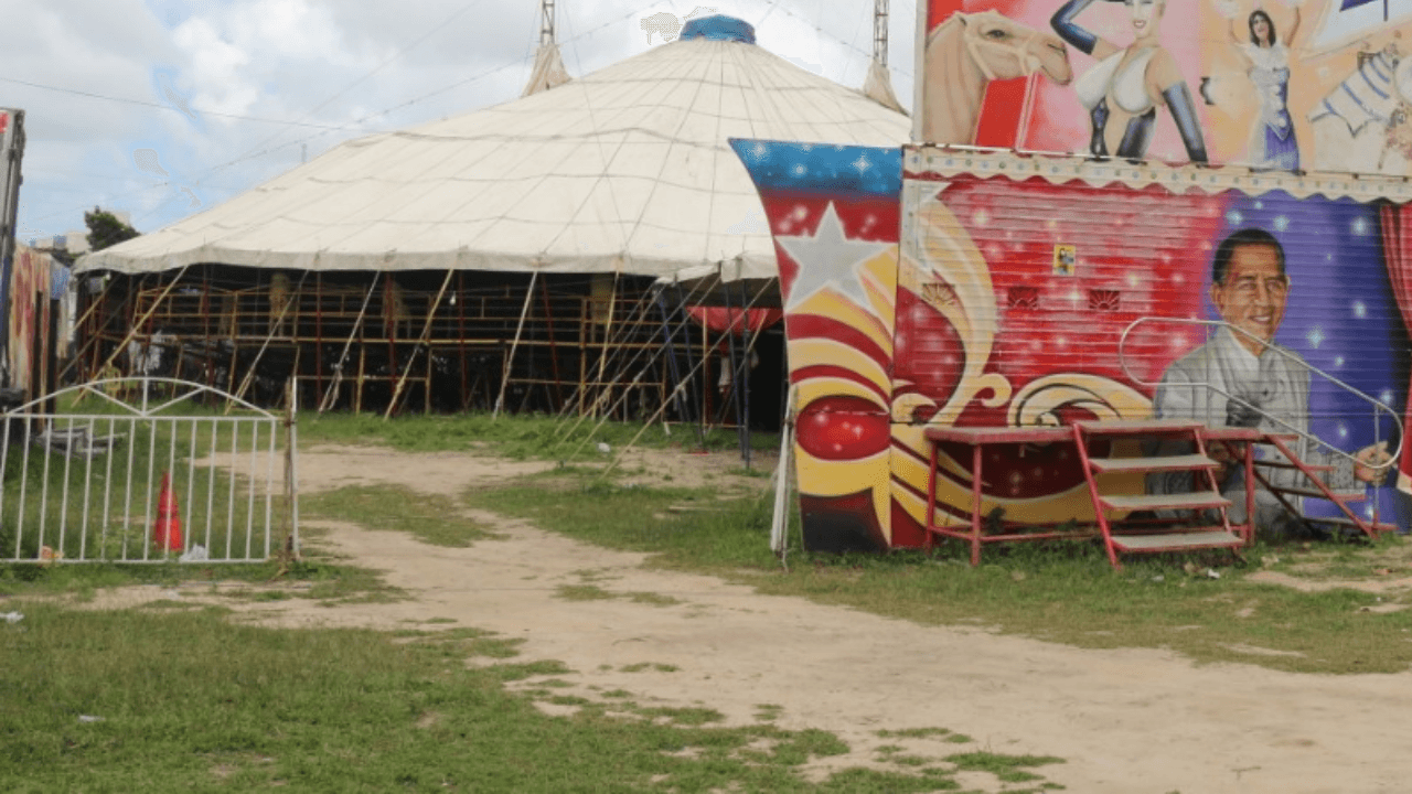 Nova atualização em Parnamirim permite o retorno do funcionamento dos circos; também bares, restaurantes, foodtrucks e foodparks nos domingos e feriados, até 15h