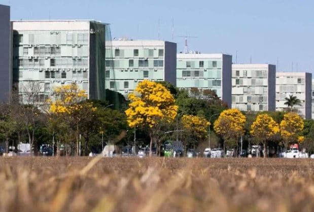 Teletrabalho será fixo para servidores de nove órgãos federais após a pandemia