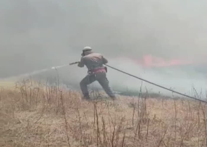 Corpo de Bombeiros registra cinco incêndios florestais em menos de 24h no Alto Oeste