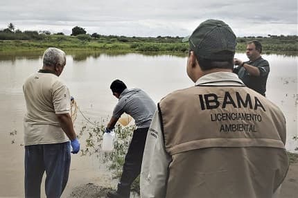 Concurso Ibama é autorizado com 568 vagas para três cargos