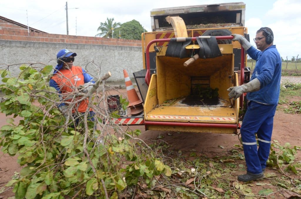 FOTOS: Em São Gonçalo, prefeitura transforma podas de árvores em material para adubo orgânico