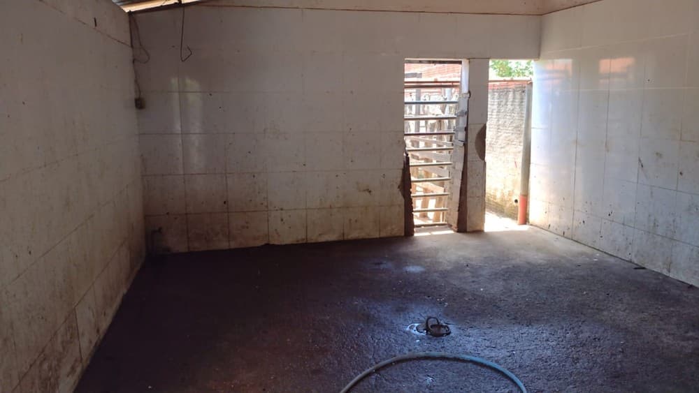 FOTOS: Fiscalização fecha abatedouro clandestino na Zona Norte de Natal