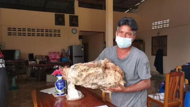 Pescador encontra ‘vômito de baleia' que pode valer até R$ 7 milhões