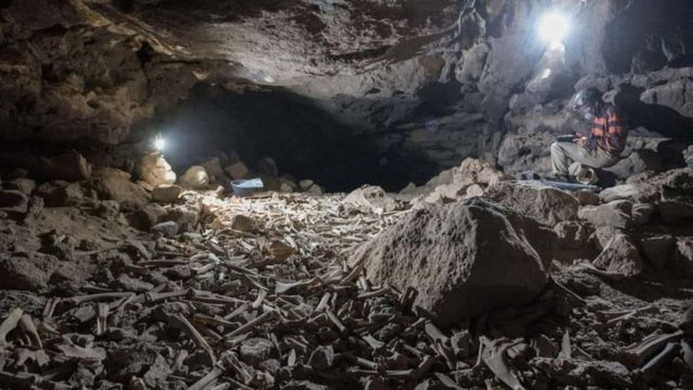 Montanhas de ossos de até 7 mil anos são descobertas em caverna na Arábia Saudita