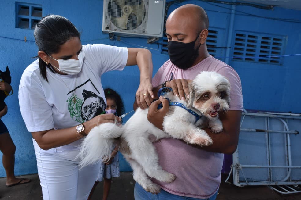 Campanha de vacinação antirrábica se encerra na sexta-feira (26) em Natal