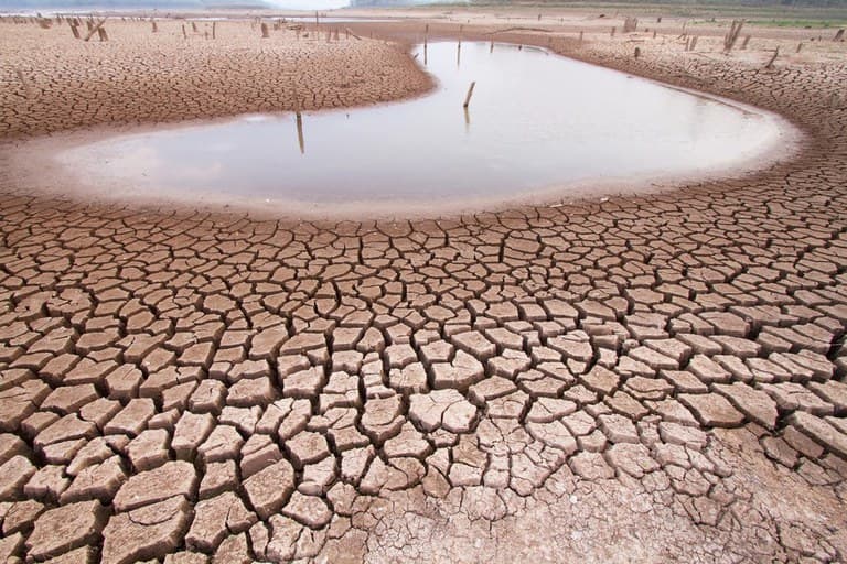 Governo do RN decreta situação de emergência por seca no território do Estado