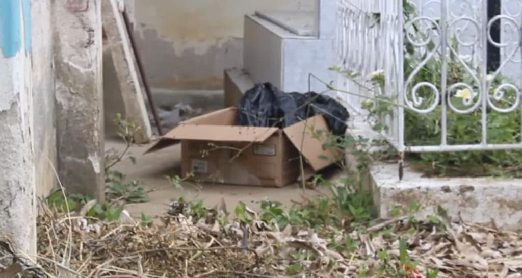 Perna humana é encontrada dentro de caixa em cemitério de Caicó