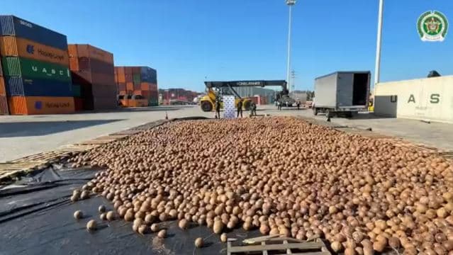 Traficantes trocam água de coco por cocaína para levar droga à Europa