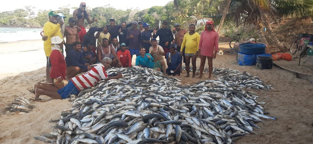 VÍDEO E FOTO: Pescadores capturam mais de 8 mil peixes e surpreendem frequentadores da praia de Cotovelo