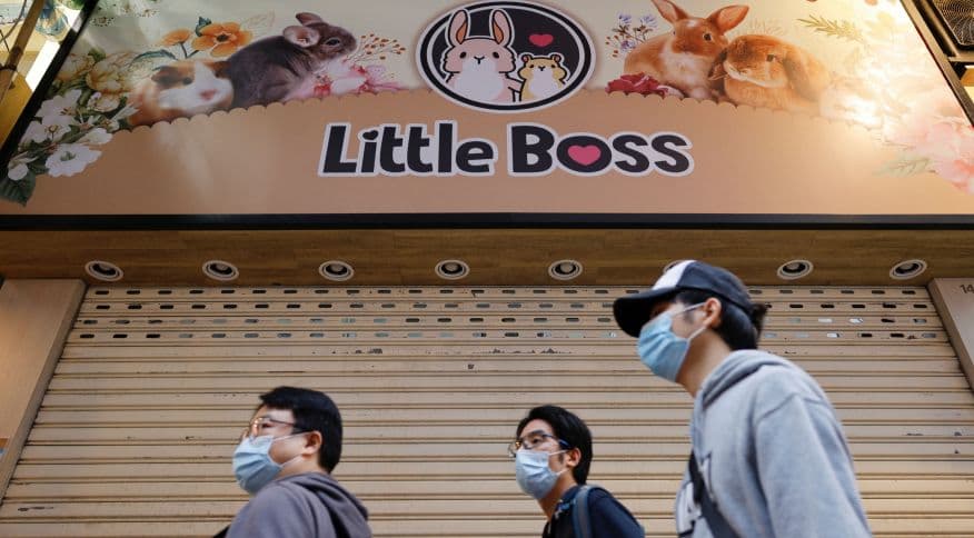 Temendo nova variante do vírus, Hong Kong abaterá 2 mil animais