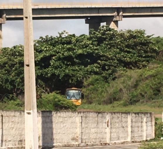 OPERAÇÃO ‘SANGRIA': Polícia Civil prende cinco suspeitos por desvio de combustíveis de Prefeituras do RN