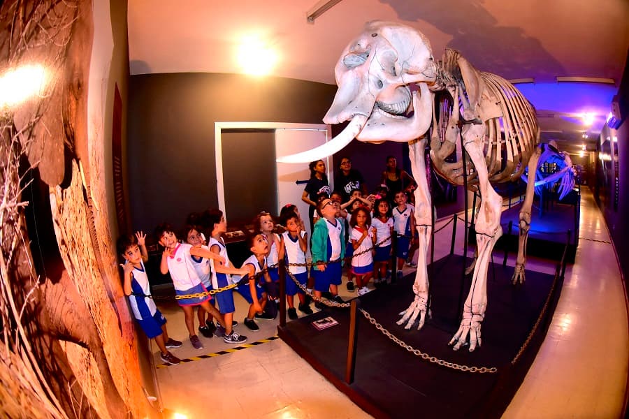 Museu Câmara Cascudo libera visitas sem agendamento