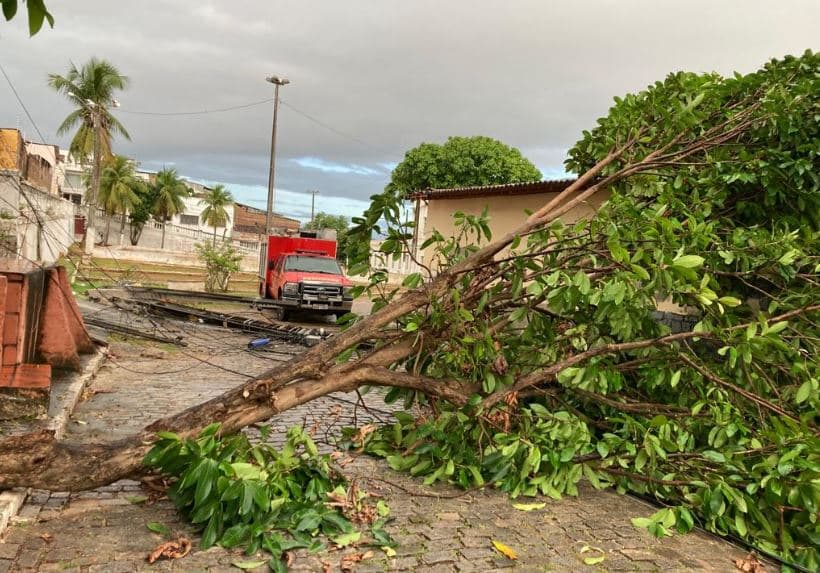 Árvore cai e derruba dois postes na Cidade Alta, em Natal, durante a madrugada