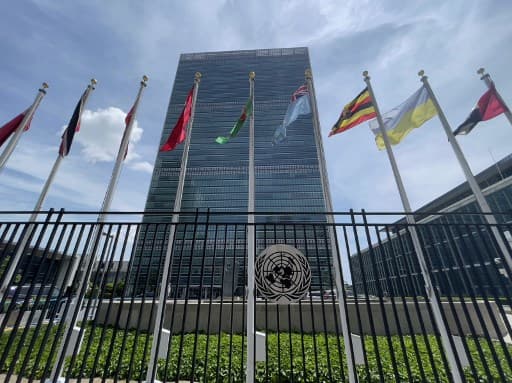 ONU condena assassinatos ‘brutais’ de Bruno e Dom e pede investigações ‘imparciais e exaustivas’