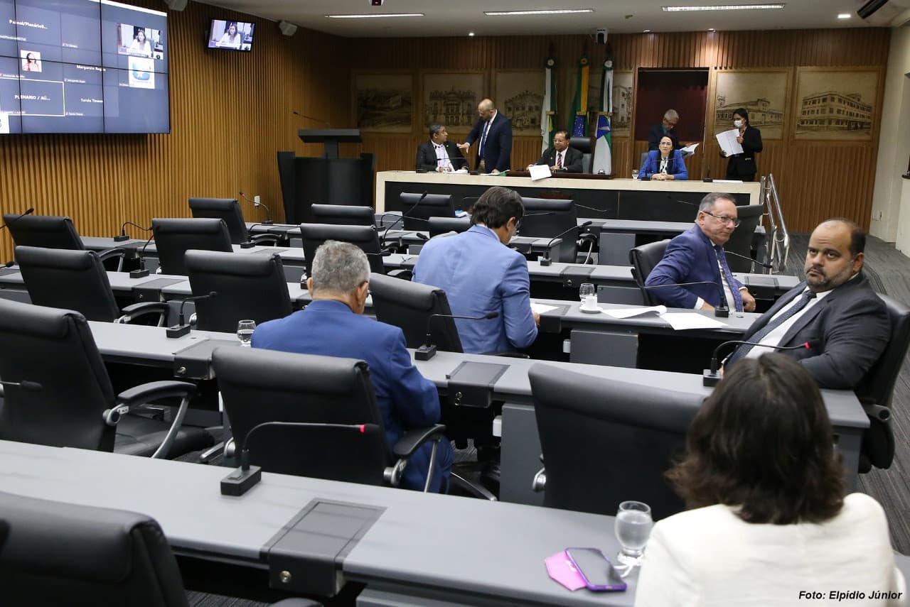 Vereadores de Natal aprovam criação do Programa Municipal de Saúde Veterinária