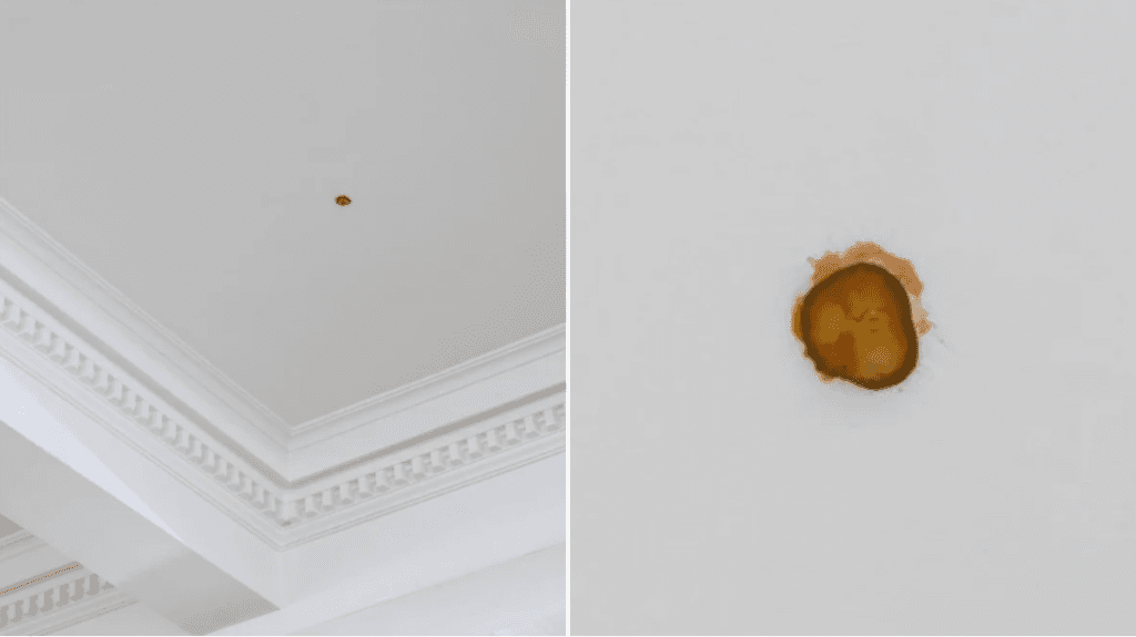 Artista joga picles do McDonald’s no teto de galeria e vende ‘arte’ por R$ 35,6 mil