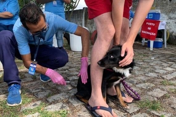 SMS Natal promove vacinação de cães e gatos contra a raiva nesta quarta-feira (28)