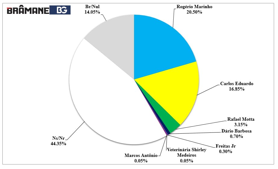 PESQUISA BG / BRÂMANE / SENADO REJEIÇÃO: Rogério Marinho tem 20,5% e Carlos Eduardo tem 16,85%