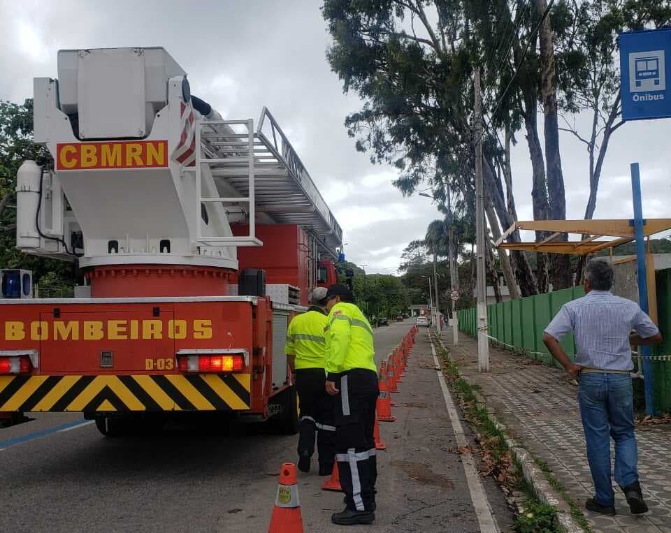 Av. Alexandrino de Alencar é interditada para corte de árvores que podem cair a qualquer momento