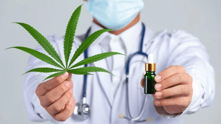 Médicos do RN criticam a restrição ao acesso à cannabis medicinal