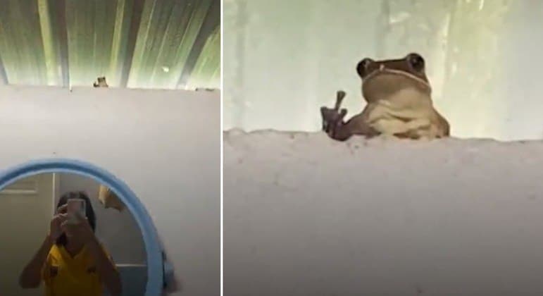Mal-educado! Sapo mostra o ‘dedo do meio' para menina que fazia selfie em banheiro