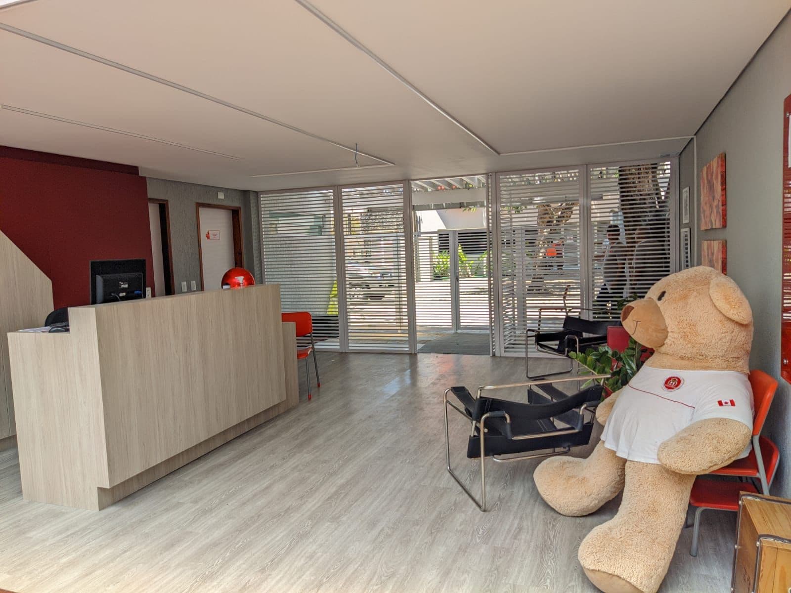 Maple Bear Natal inicia ano letivo do ensino infantil com novo estrutura conectada com o desenvolvimento das crianças