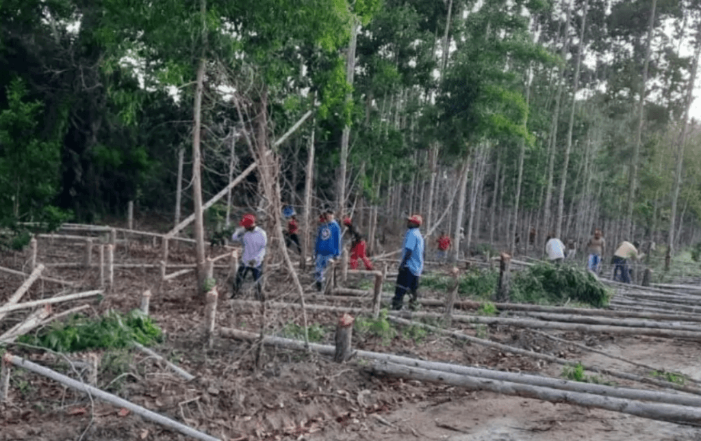 Sem trégua, MST invade mais três fazendas produtivas na Bahia