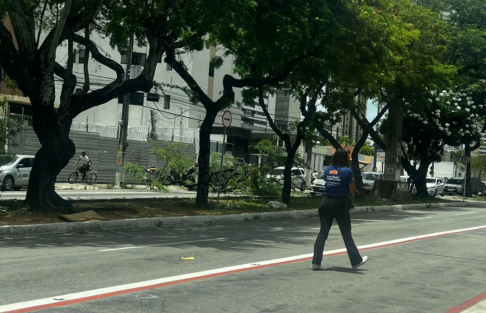 VÍDEO: Árvore cai e interrompe trânsito na avenida Prudente de Morais