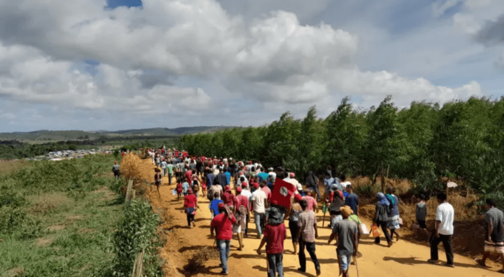 Produtores acusam governo da Bahia de apoio ao MST em invasões
