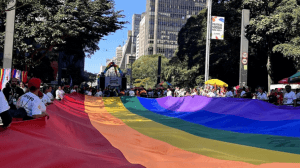 VÍDEO: Políticos criticam bloco ‘Crianças Trans Importam’ da Parada LGBT+