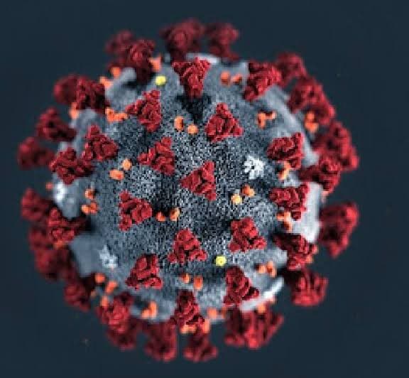 Covid-19: cientistas orientam volta do uso de máscaras devido a nova variante altamente mutante do coronavírus