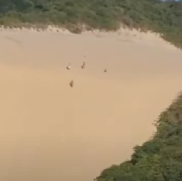 VÍDEO: Banhista flagra pessoas subindo o Morro do Careca em pleno domingo