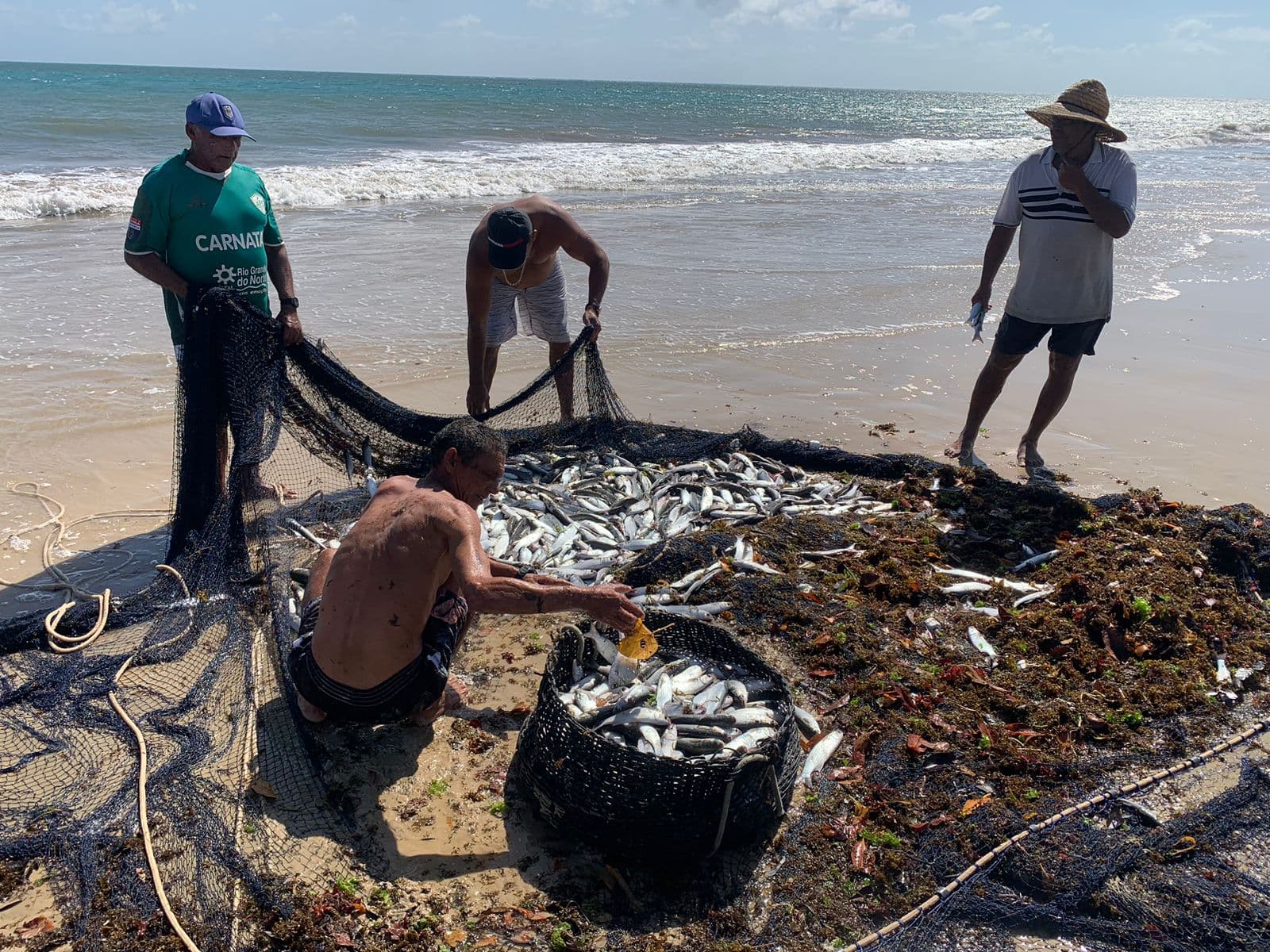 FOTO: 5 mil tainhas são pescadas em apenas um lance em Pirangi do Norte