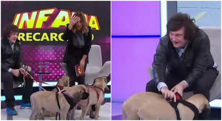 Javier Milei, presidente eleito da Argentina, é tutor de cinco cachorros clonados; entenda