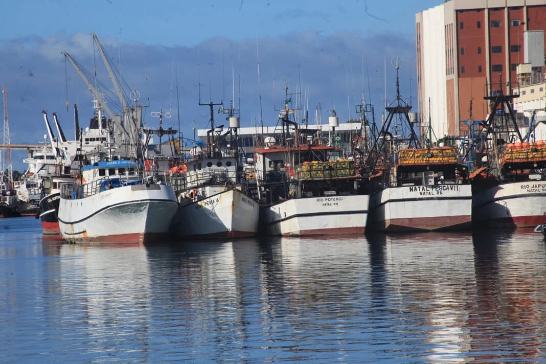 União suspende pesca de atum e empresas do RN podem ter prejuízo de R$ 30 milhões