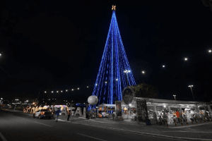 Tradicional Árvore de Mirassol será acesa hoje